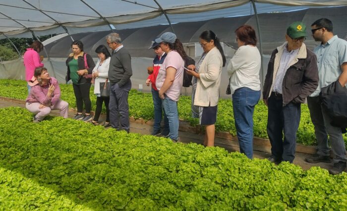 Crédito: Facultad de Agronomía UdeC